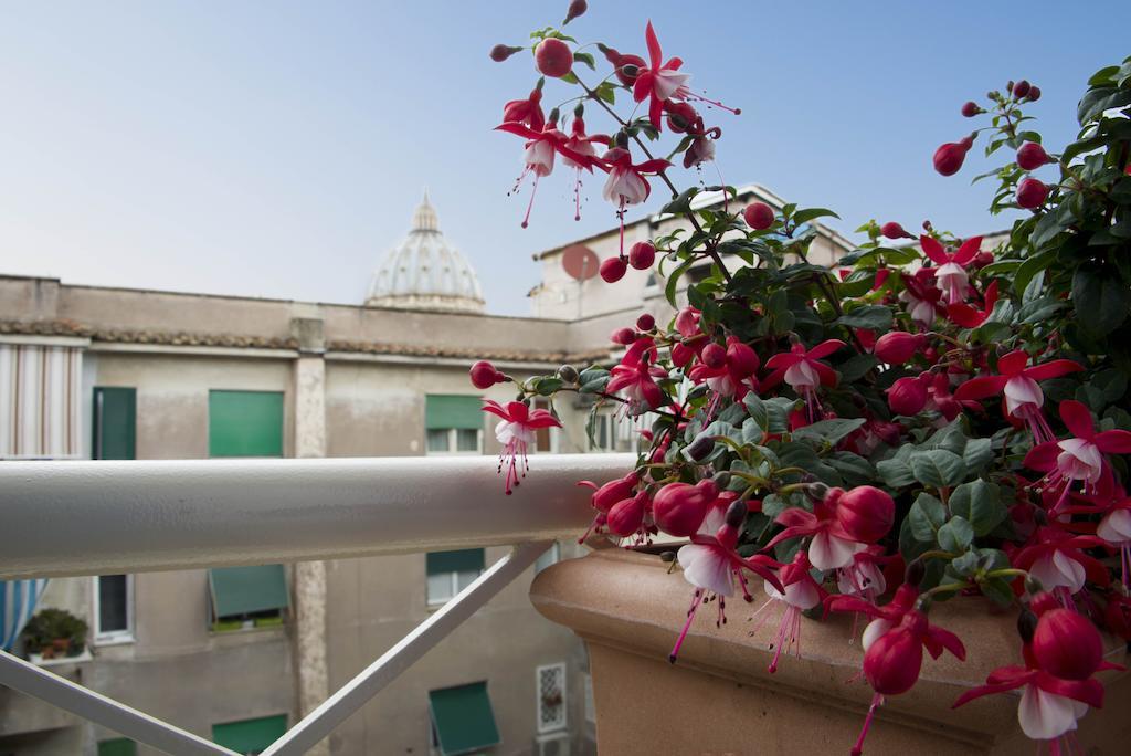 Di Fronte Alla Cupola Roma Oda fotoğraf